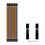 40 Pin Dişi - Dişi Jumper Kablo - 30cm