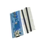 ARM Maple Mini Geliştirme Kartı