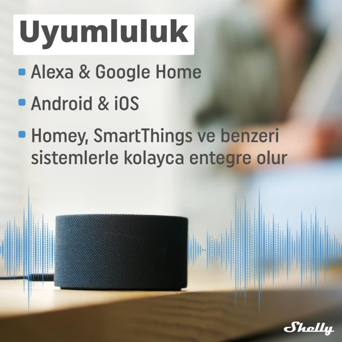 Shelly Plus 1 Wi-Fi ve Bluetooth Akıllı Röle - Görsel 5