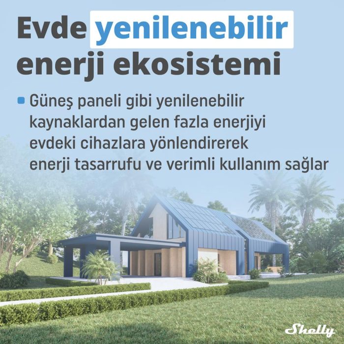 Shelly Pro EM-50 1 Faz Enerji Ölçer - Görsel 2