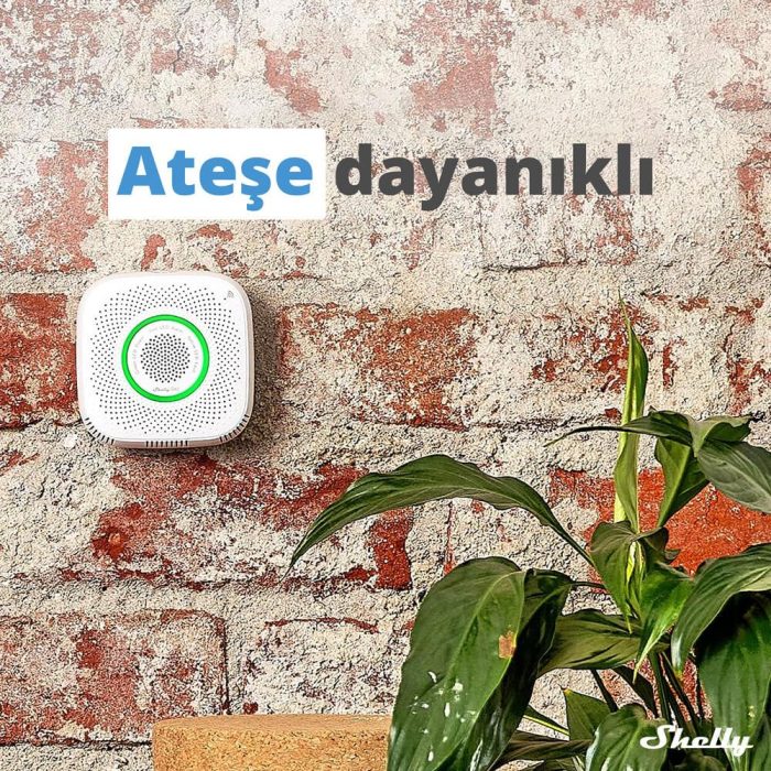 Shelly GAS Akıllı CNG Gaz Dedektörü - Görsel 7