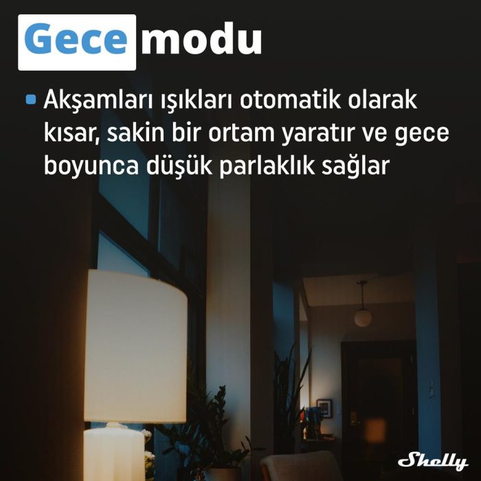 Shelly Plus RGBW PM Akıllı LED Renk ve Parlaklık Kontrol Rölesi - Görsel 7