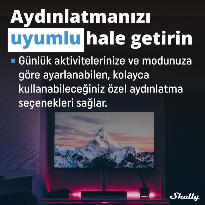 Shelly Plus RGBW PM Akıllı LED Renk ve Parlaklık Kontrol Rölesi - Görsel 6