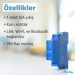 Shelly Pro 1 DIN Ray 1 Kanal Akıllı Röle - Görsel 2